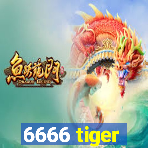 6666 tiger
